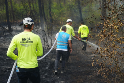 Yenişehir’deki Yangınlarda 50 Hektar Orman Küle Döndü 