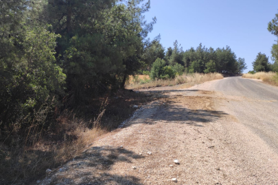Çamönü Köyü’nde Kıvılcımlar Ormana Sıçramadan Söndürüldü