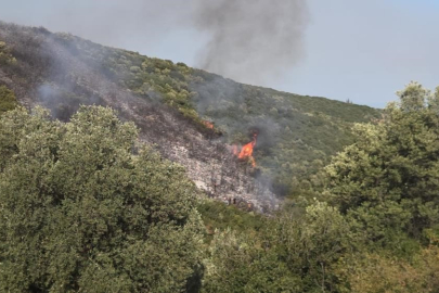 Gedelek yangını ile ilgili 1 kişi gözaltına alındı