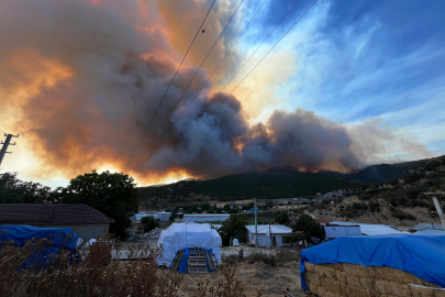 Alevler çiftlikleri tehdit etti, hayvanlar kurtarıldı