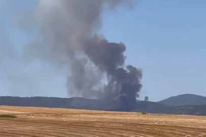 Bursa'da orman yangını...