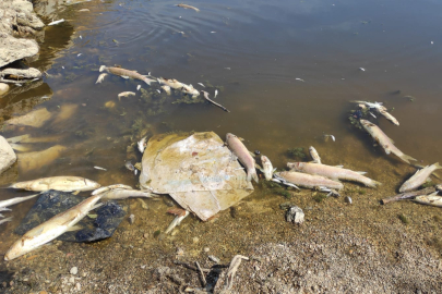 Kuruyan Kocasu Deresi’ndeki yavru balıklara can suyu