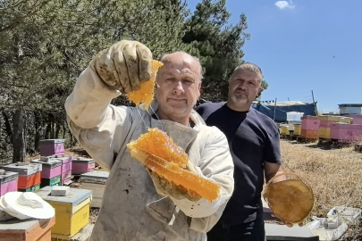 Bursa'da üretilen bu bal her derde deva