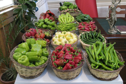 Uluslararası Altın Biber Festivali bugün başlıyor