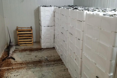 Kilolarca balığa el konuldu