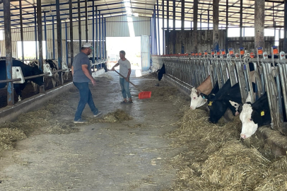 Süt üreticilerinden 'yem dayatması'na tepki