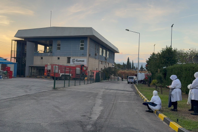 Gemlik Serbest Bölge’de çıkan yangın paniğe neden oldu