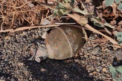 İznik Gölü kıyısında el bombası paniği