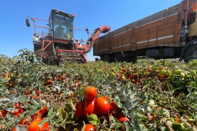 Tarımda plansızlık, üreticiyi zora sokuyor