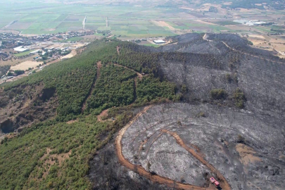 Yenişehir'de üç köyü korkutan yangının acı görüntüsü havadan kaydedildi