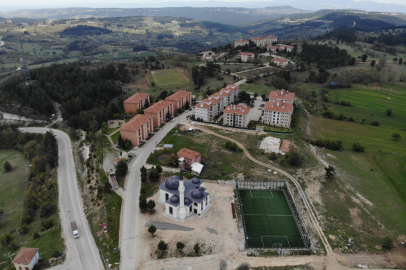 Site sakinlerine "yavru ayı" uyarısı