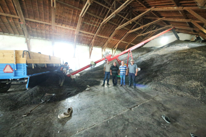 Yenişehir’de ayçiçeği alımları bugün sona eriyor