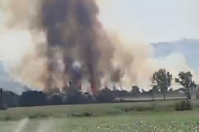 Yenişehir kırsalında yangın paniği