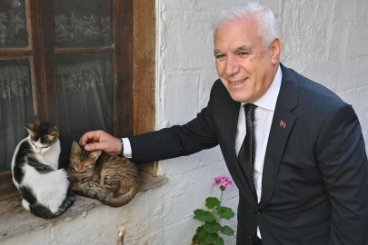 Büyükşehir’den can dostlara şefkat eli