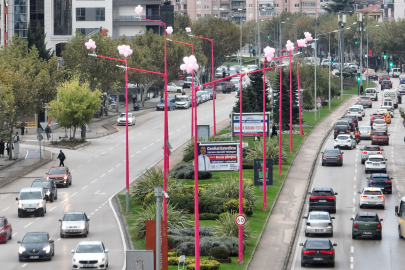 Erken teşhis için sokak lambaları pembe yanıyor