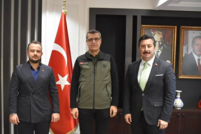 Yanan orman alanlar yeniden ağaçlandırılacak