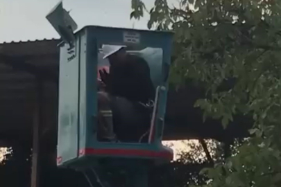 Bursa'da vinç üstünde "arı alarmı"