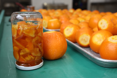 Nilüfer çiftçisi üretecek istanbul ve Eskişehir tüketecek