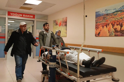 Mantar yedi hastanelik oldu