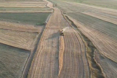 İthalat açıklaması bile arpanın ateşini düşürmedi