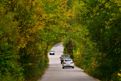 Sonbaharın renk cümbüşü Uludağ eteklerinde