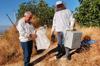 Yenişehir’de bu sezon 18 ton bal üretildi