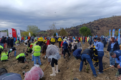 Bursa’da yanan ormanlar Milli Ağaçlandırma Günü’nde yeniden yeşeriyor