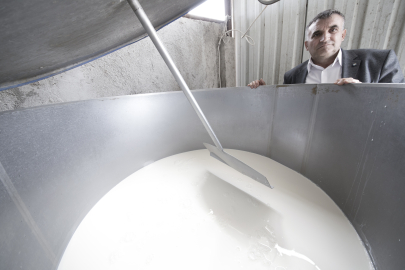 Süt destekleme bedelleri hesaplara yattı