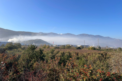 Kestel ve Gürsu'da çevre faciası
