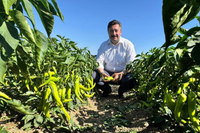 ‘Gıda OSB 12 bin kişiye iş imkânı sunacak’