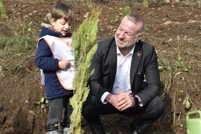 Karacabey’de yangın sonrası ilk fidanlar toprakla buluştu