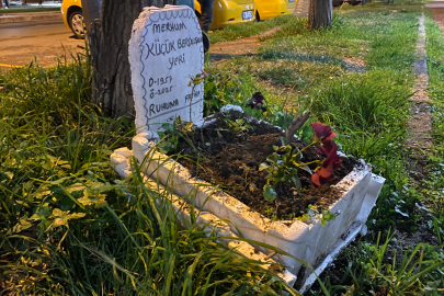 Taksicilerden vefa...Ölen muhabbet kuşları için mini mezar yaptılar