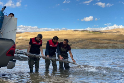 Türkiye nüfusu kadar balık deniz ve göllere bırakıldı