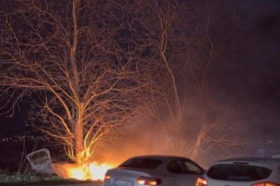 Bursa'da kontrolden çıkan otomobil önce ağaca çarptı sonra alev aldı