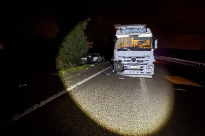 Köpekler nedeniyle otoyolda can pazarı