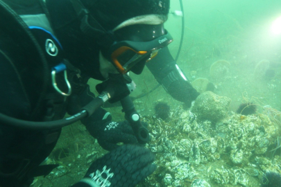 Marmara Denizi'ne kıyı kentlerin Belediye Başkanlarına dalış çağrı
