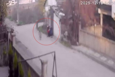 Bebek arabasından 2 milyon liralık altın çaldı