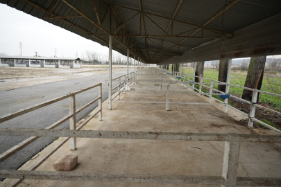 Başkan Ercan Özel devreye girdi: Canlı hayvan pazarı yeniden açıldı