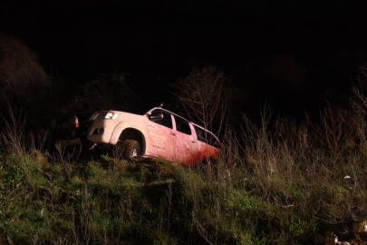 Kontrolden çıkan kamyonet şarampole yuvarlandı, sürücü yaralandı