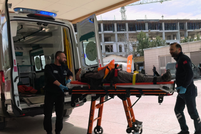 Ceviz ağacından düşen yaşlı adam ağır yaralandı