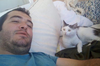 Kaybolan kedisi için binlerce kilometre yol yaptı