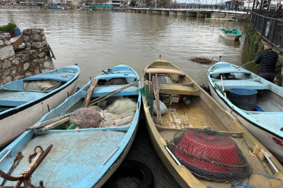 İstilacı İsrail sazanları balıkçılara gelir kaynağı oldu