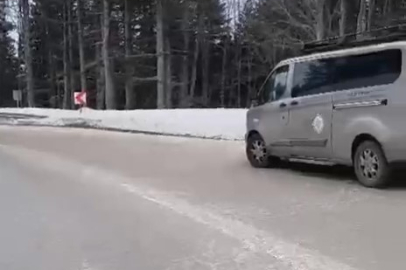 Uludağ'da tilkiye çarpan otomobil sürücüsü yaralı halde bırakıp kaçtı