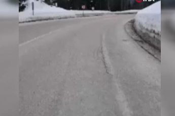 Uludağ'da tilkiye çarpan otomobil sürücüsü yaralı halde bırakıp kaçtı