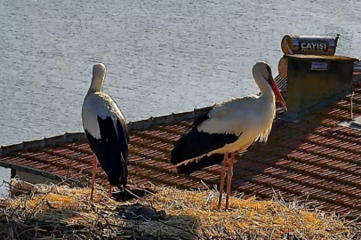 Beklenen buluşma gerçekleşti