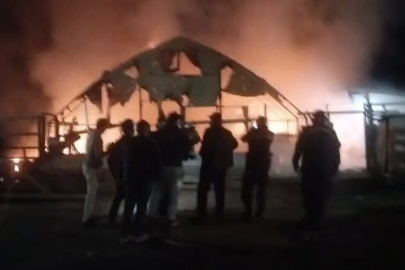 Bursa'da çiftlikte yangın: 580 kanatlı hayvan telef oldu