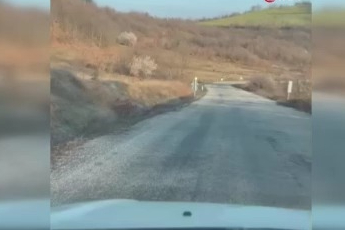 Geyik sürüsü kameraya böyle takıldı