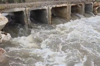 Kuruyan dere coştu, İznik Gölü’ne umut oldu
