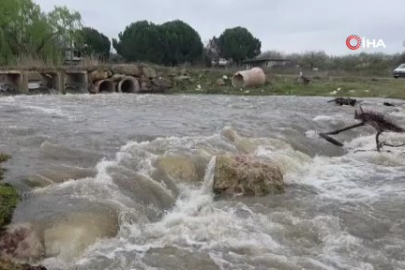 Kuruyan dere coştu, İznik Gölü’ne umut oldu