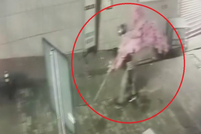 ‘Bir kafeden daha fazlası’ yazısını fark etti, ağacı sırtlayıp gitti